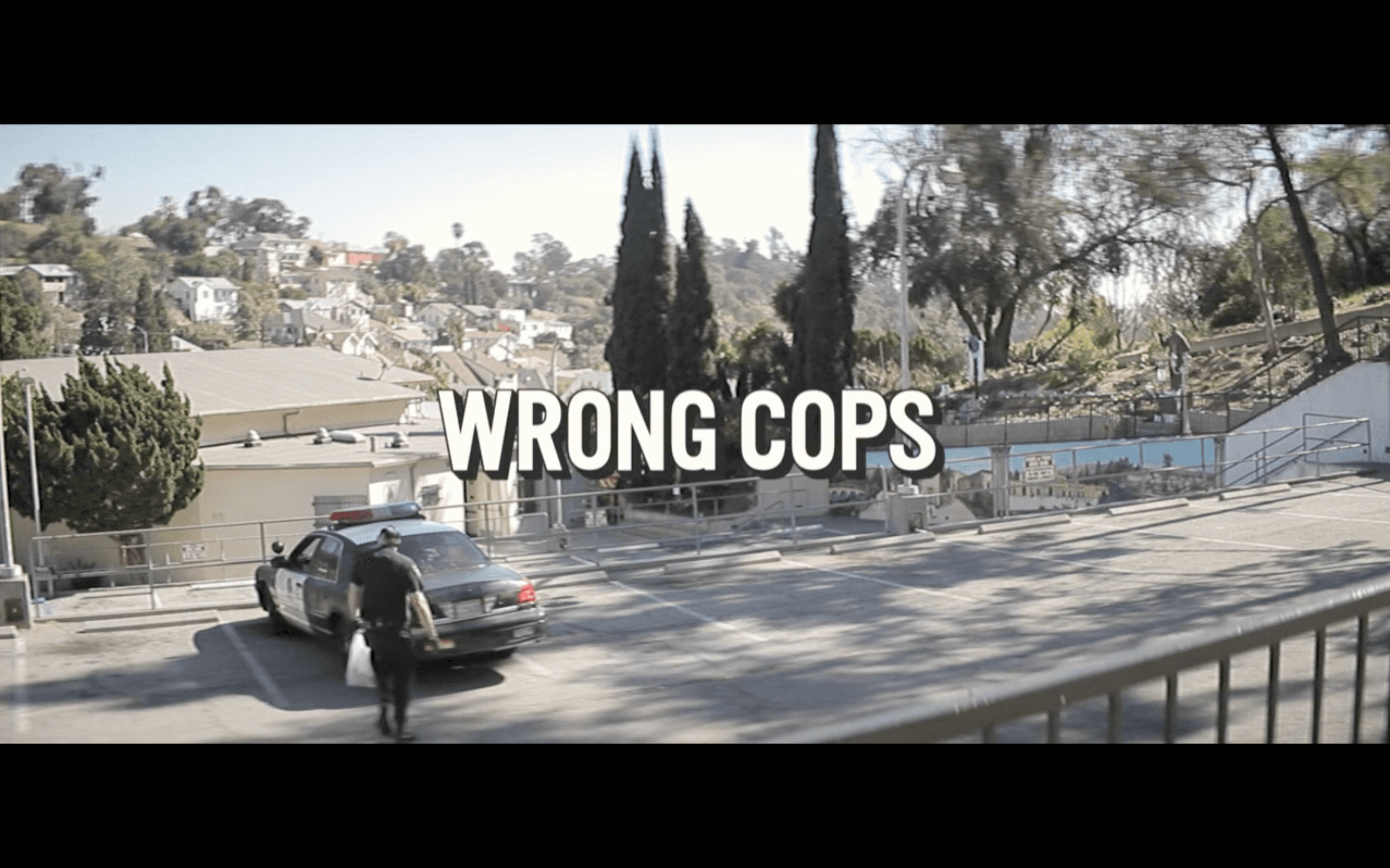 Wrong Cops by Quentin Dupieux - Opening