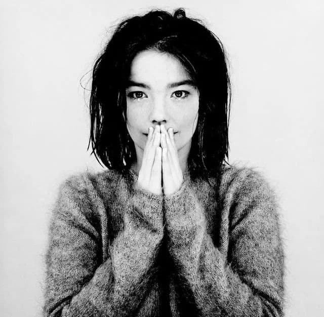 Debut album by Björk