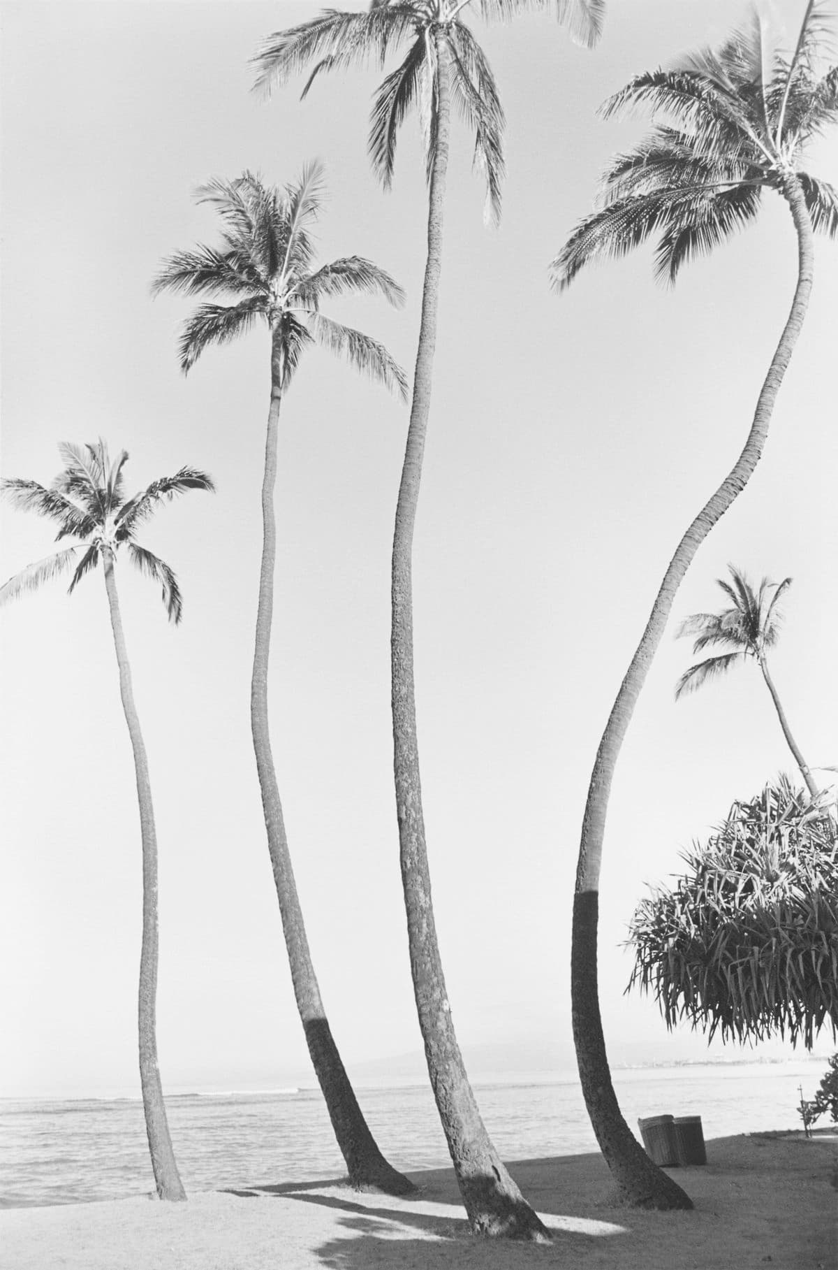 Henry Wessel